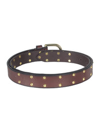 Brown Studded Women's Belt