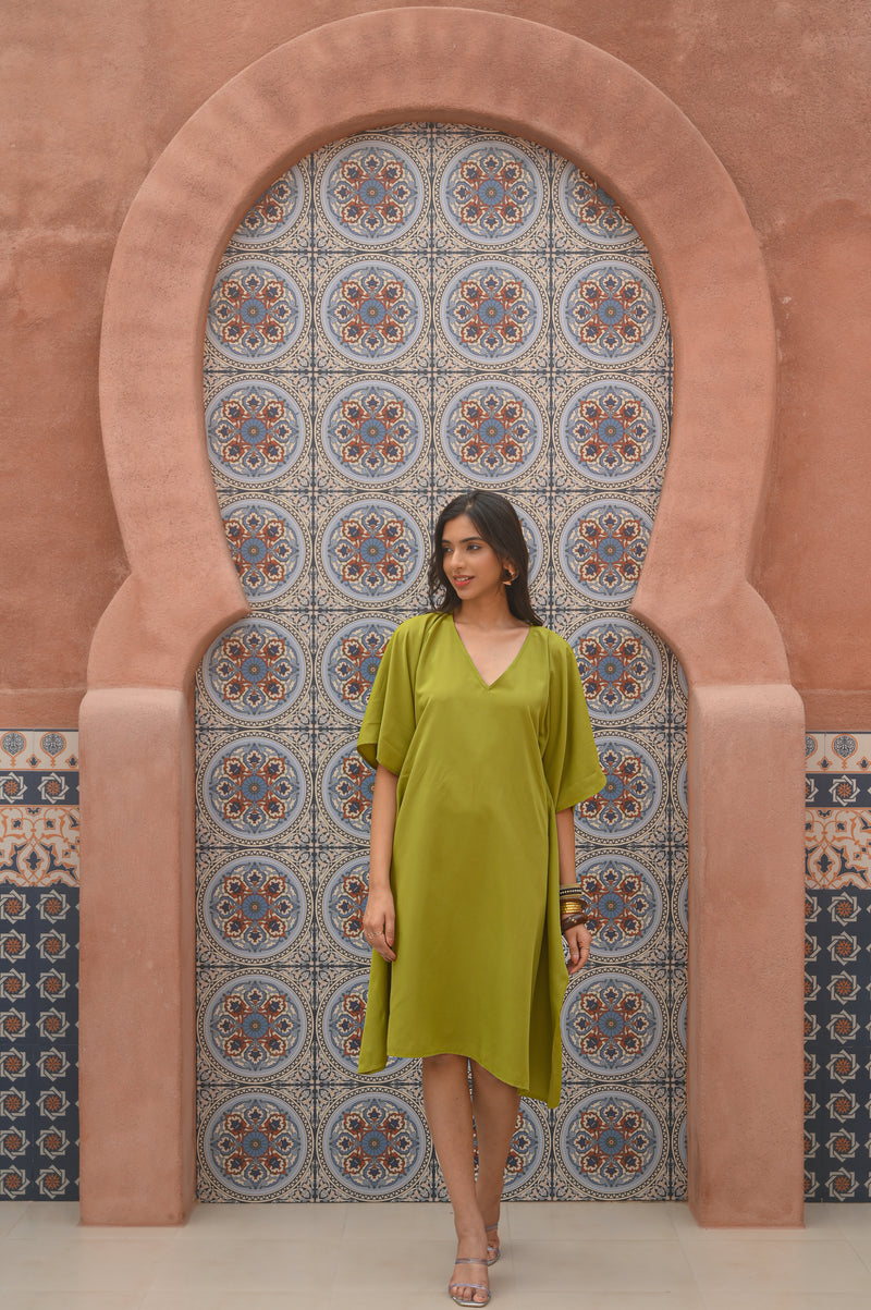 Aditi Wasan Green Solid Kaftan Dress