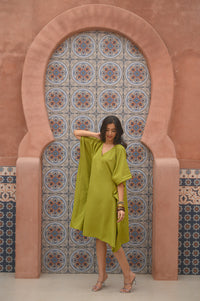 Aditi Wasan Green Solid Kaftan Dress